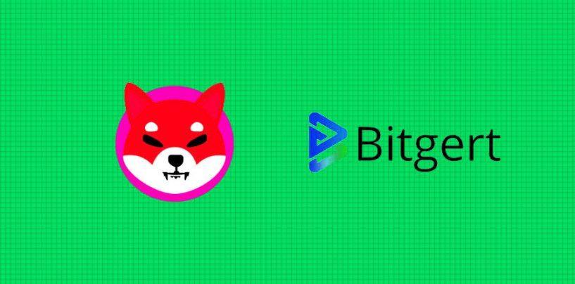 Bitgert Outshines Shiba Inu