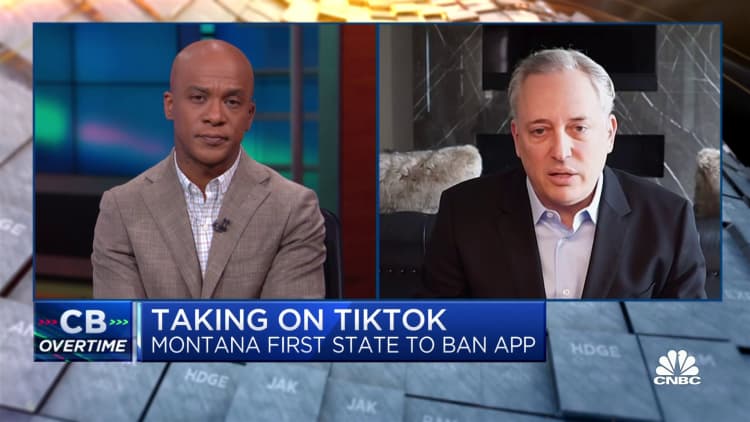 Banning TikTok at a state level 'doesn't make sense', says Craft Ventures' David Sacks