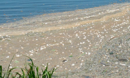 Sewage floating on the Jubilee River in Dorney Reach, Buckinghamshire