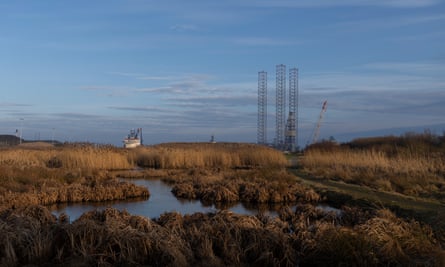 wetlands with cranes in the background