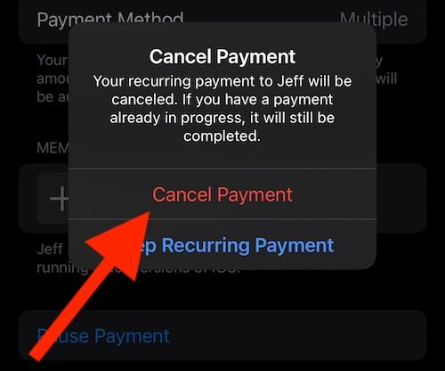 Click Cancel Payment again to confirm the cancellation.