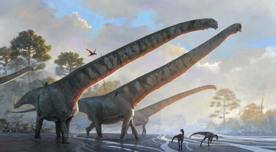 Sauropod