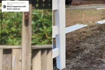 My nightmare neighbour tried to tear down MY fence in row over boundary