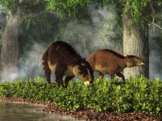 Hyracotherium was well-adapted to life in the swampy forests of 50 million years ago