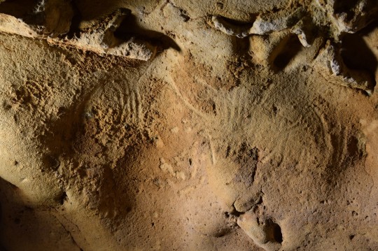 On the left, is a 'circular panel' and on the right, a 'wavy panel'