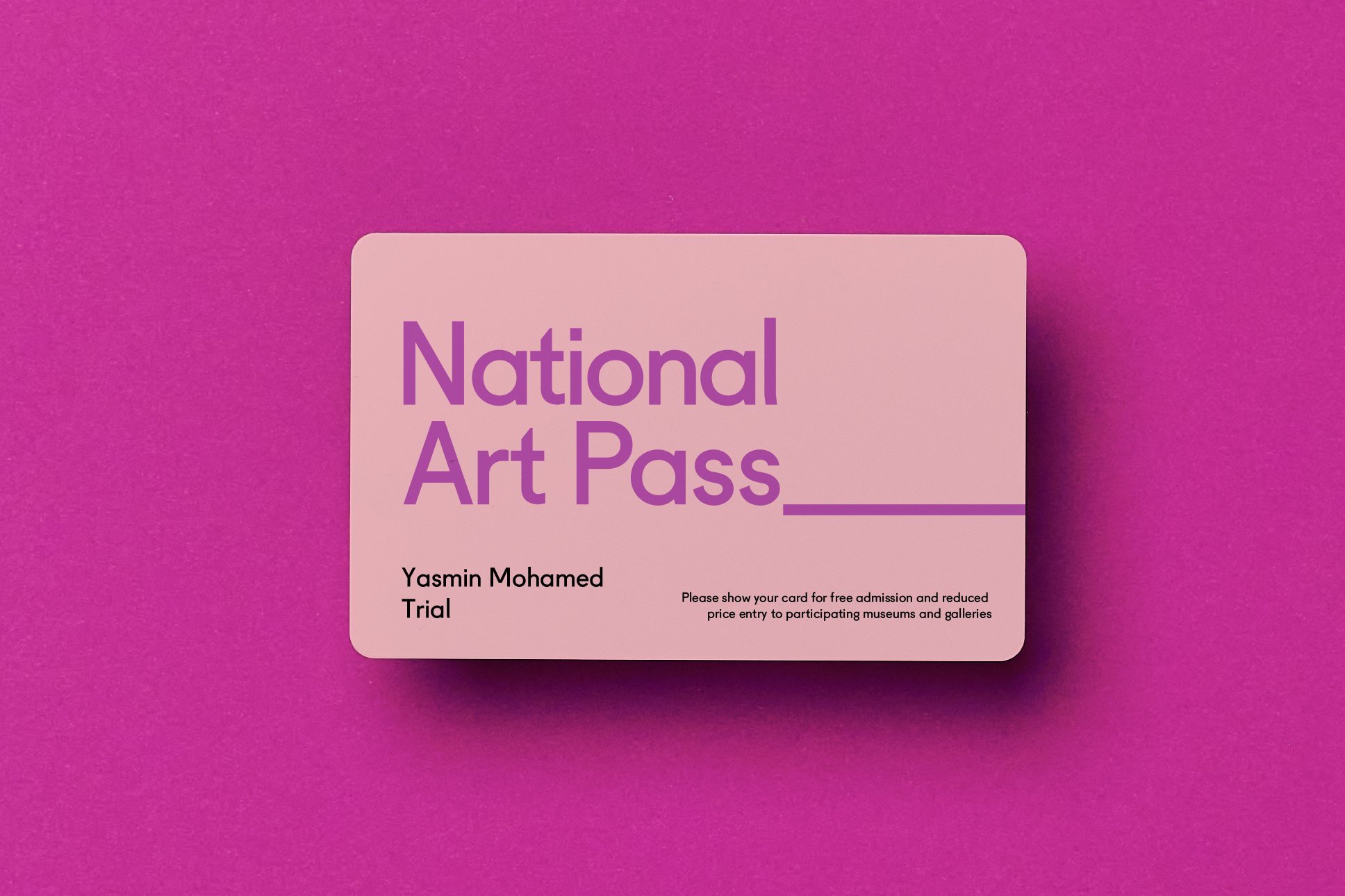 A National Art Pass, which gives free entry to hundreds of museums, galleries and historic houses as well as 50 per cent off major exhibitions