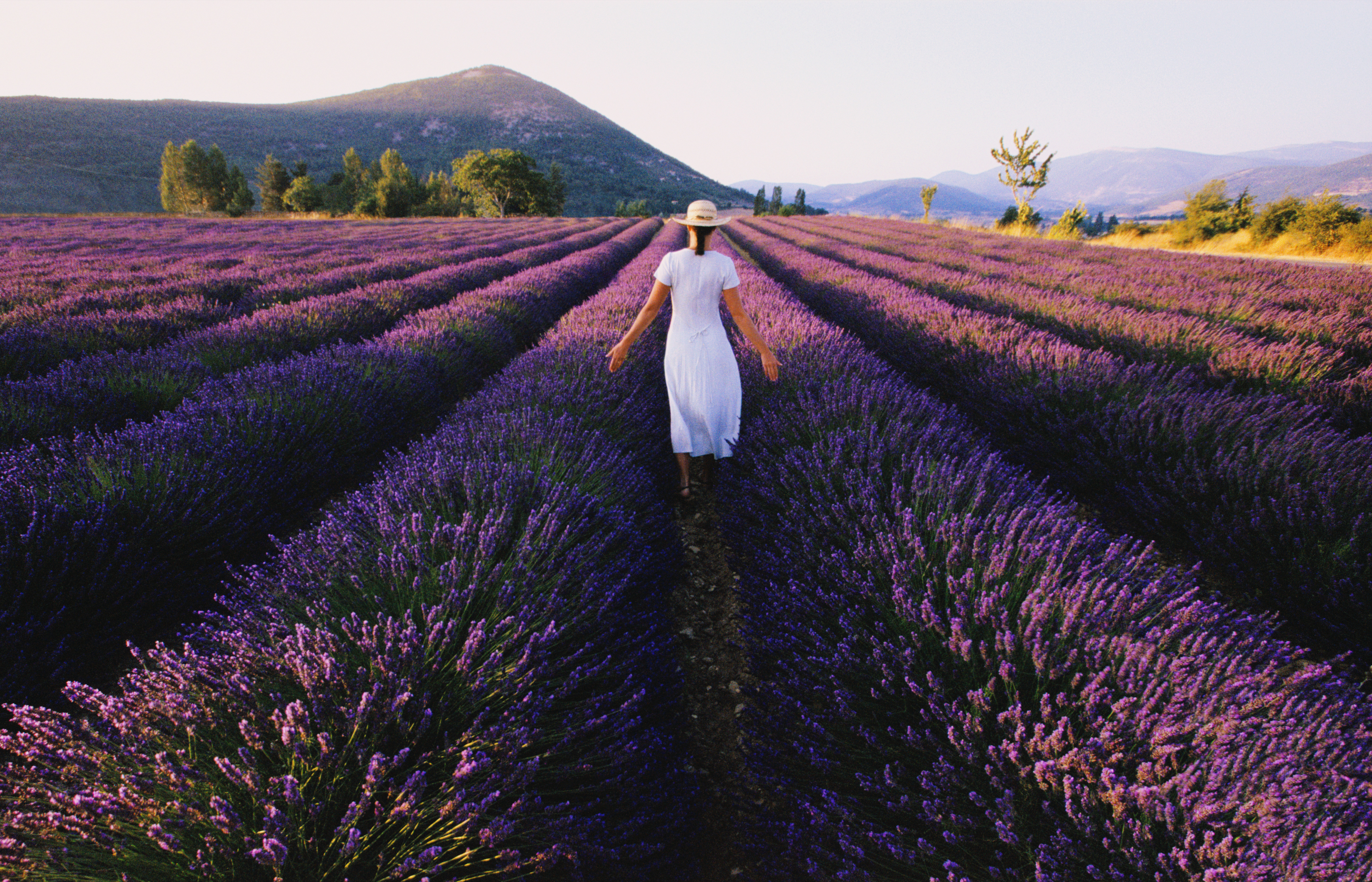 With these helpful hints, make lavender magic last year round