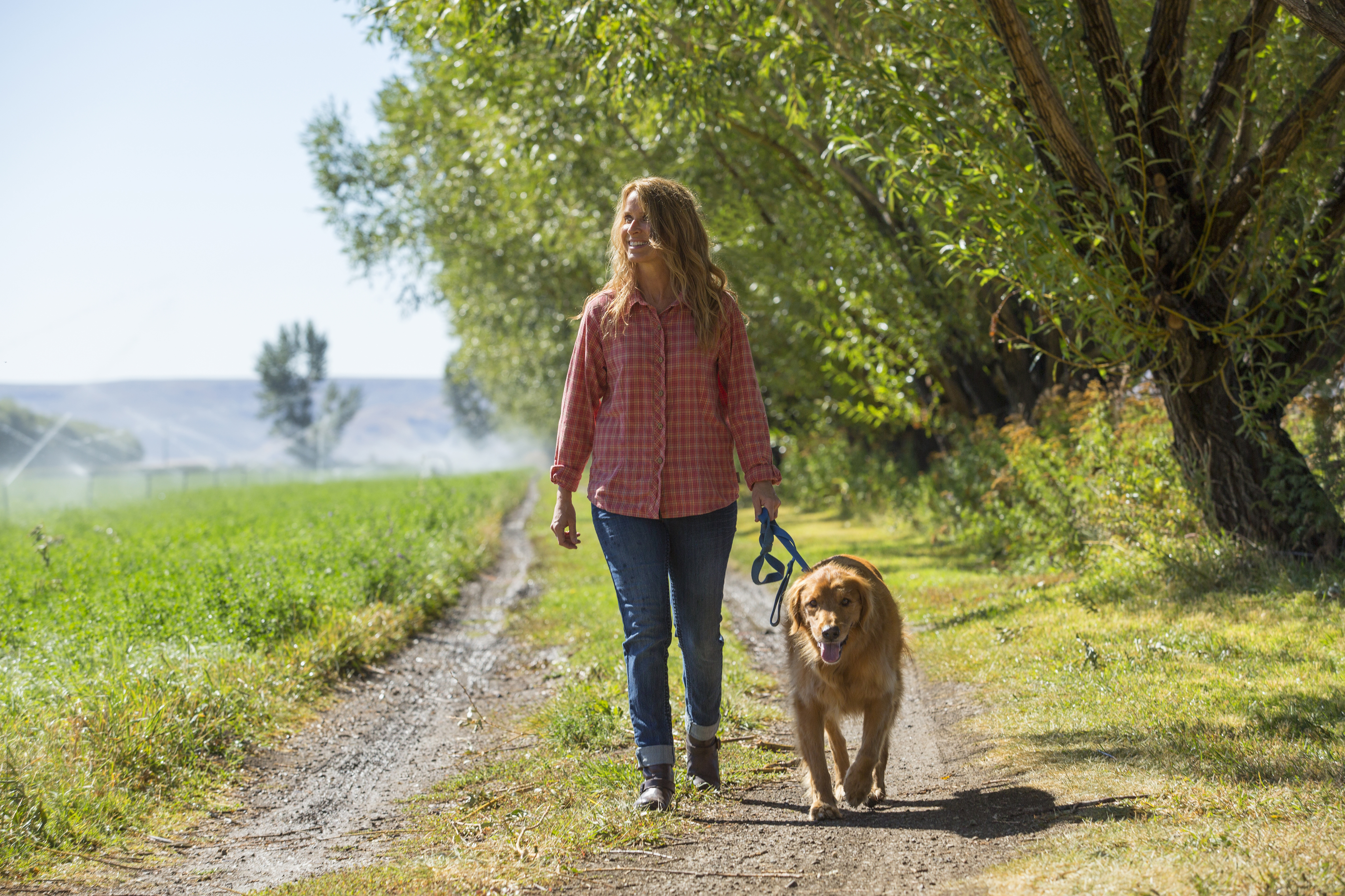 If your pet is acting funny or is under the weather, or you want to know about nutrition or exercise, just ask