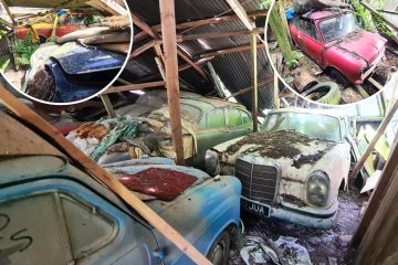 Inside classic car graveyard with motors that could be worth over £500K