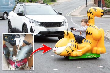 I combined a mobility scooter with Garfield fairground ride to make top toy