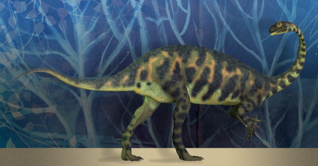 June 15: New tiny dinosaur (sauropodomorph) getty images/ Catmando/Shutterstock.