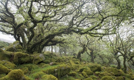 Wistman’s wood