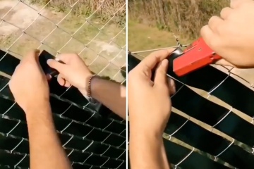 I used a cheap Amazon buy to transform chain link into a privacy fence