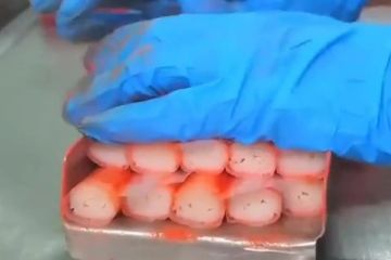 People are just realising what crabsticks are made from and they're grossed out