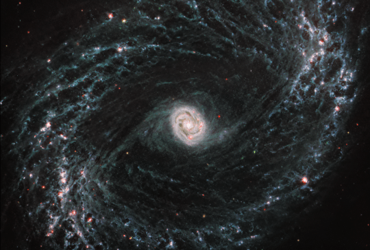 Galaxy NGC 1433