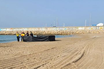 Horrified beachgoers thought ‘headless’ body of child in Spain was a doll