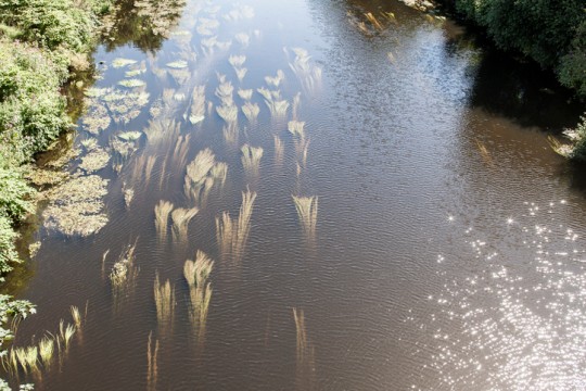 The River Don in Sheffield today