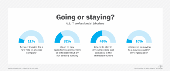 Chart showing U.S. IT professionals' job plans