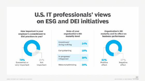 Chart showing IT pro's views on ESG and DEI initiatives.