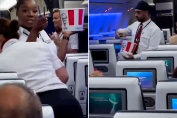 British Airways staff forced to serve KFC when they FORGOT inflight food