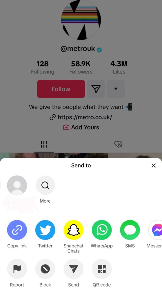 Screenshot of TikTok 