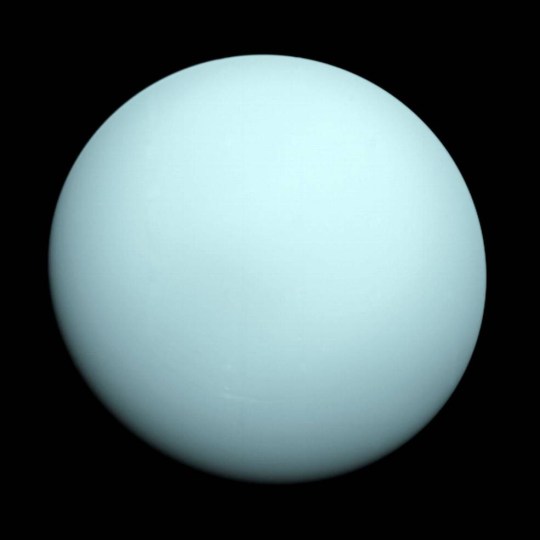 Neptune, captured by Voyager 2