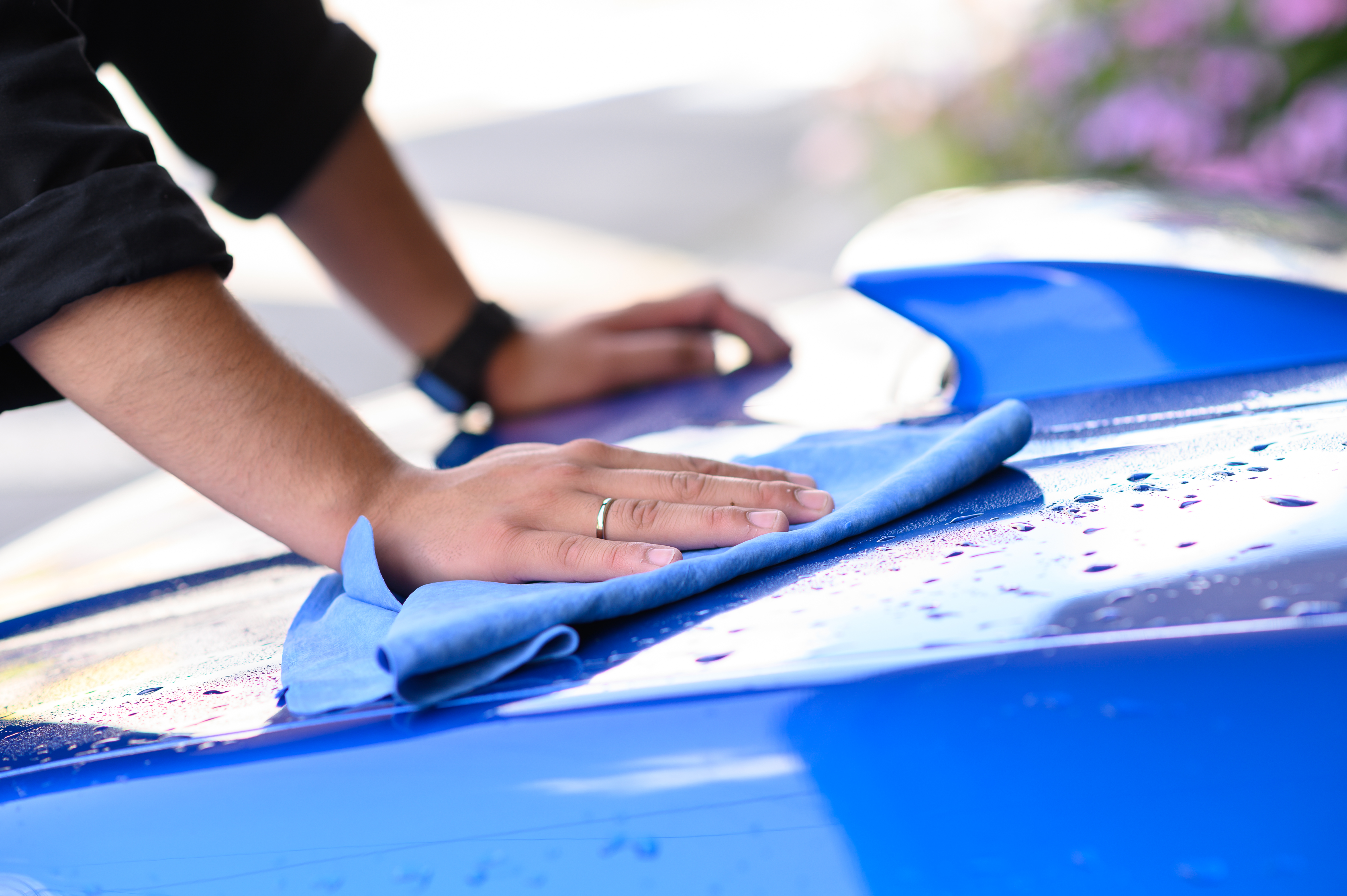 Experts have revealed the cheap and easy ways to remove bug splats from cars