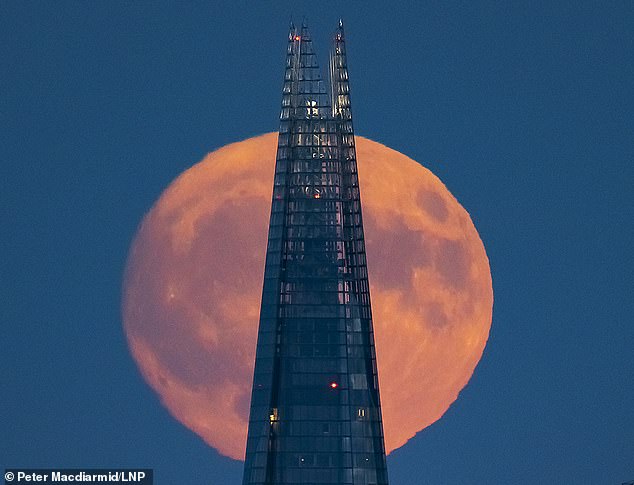 Britain's tallest building, The Shard, was lit up by the incredible full Buck supermoon tonight