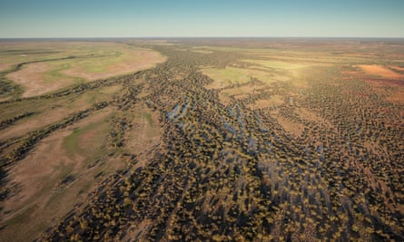 A cattle farm in Queensland.