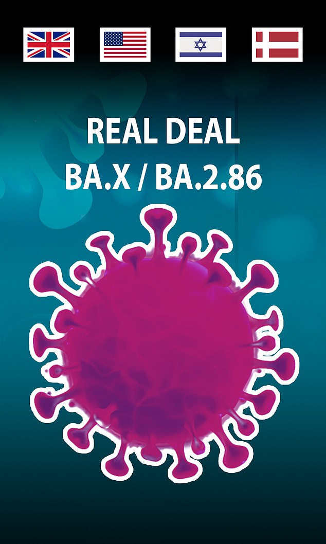 Virus-tracking researchers detected the Omicron spin-off – given the placeholder name BA.X or BA.2.86 – in a patient hospitalised in London. UKHSA bosses did not reveal exactly how many cases have been spotted so far. But top scientists claim the discovery means 'we can be pretty sure it's circulating more widely'. Only five cases of the strain – first spotted last month – have been detected so far worldwide, in the US, Denmark and Israel