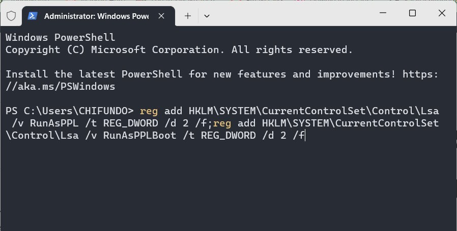 Typing command in Powershell.