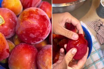 I’m a cost cutter & I freeze tomatoes so they last forever & are easier to peel