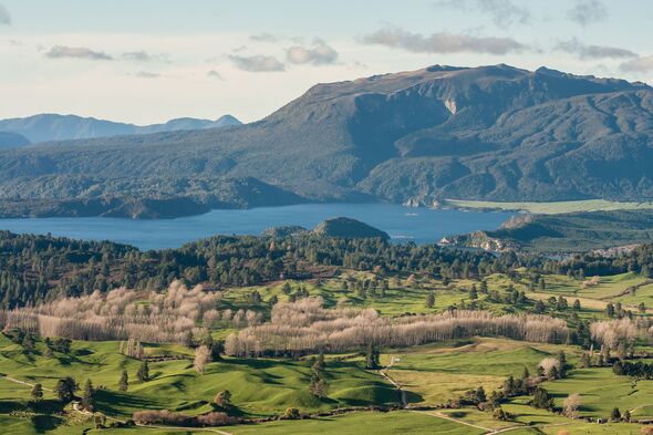 Lake Okaro with mount Tarawera