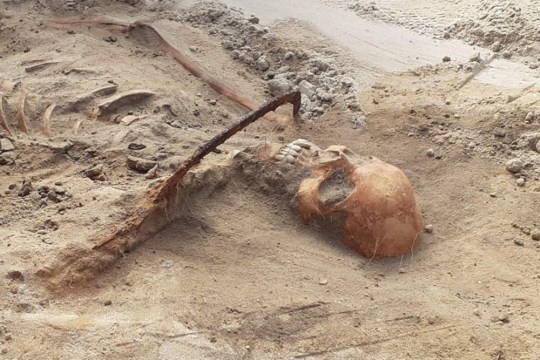 The remains of a ?female vampire? pinned to the ground by a sickle across her throat and a padlocked toe to ?prevent her returning from the dead? have been found in a village in Poland. Discovered during archaeological work at a 17th century cemetery in the village of Pien, researchers also found the skeletal remains had a silk cap on its head, indicating she had held a high social status, and a protruding tooth. Team leader Professor Dariusz Poli?ski from the Nicholas Copernicus University in the nearby city Torun said the form of burial was unusual. He said: ?Ways to protect against the return of the dead include cutting off the head or legs, placing the deceased face down to bite into the ground, burning them, and smashing them with a stone. ?The sickle was not laid flat but placed on the neck in such a way that if the deceased had tried to get up most likely the head would have been cut off or injured.? He added that the padlocked big toe on the skeleton?s left foot likely symbolised ?the closing of a stage and the impossibility of returning.? In 2015, archaeologists in the village of Drewsko 130m miles away found five skeletons buried in a similar manner at a 400-year-old cemetery. Sickles were found pressed against the throats of an adult man, who was between 35 to 44 years old, and an adult woman around 35 to 39 years old. An older woman, who was 50 to 60 years old when she died, was buried with a sickle laying across her hips, and a medium sized stone at her throat. Two more graves, both with sickles placed at the throats of the skeletons, revealed an adult woman between 30 and 39 years old, and a young girl who was just 14 to 19. The researchers who made the discovery said at the time: ?When placed in burials they were a guarantee that the deceased remained in their graves and therefore could not harm the living, but they may also have served to protect the dead from evil forces. 'According to folk wisdom, a sickle protected women in labour, children and the dead against evil spirits. ?It also had a role in rituals designed to counter black magic and witchcraft.? The latest discovery has now been sent to Torun where archeologists will carry out further research.