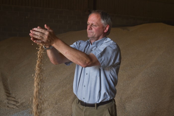 Andrew Blenkiron examining wheat in the grain store