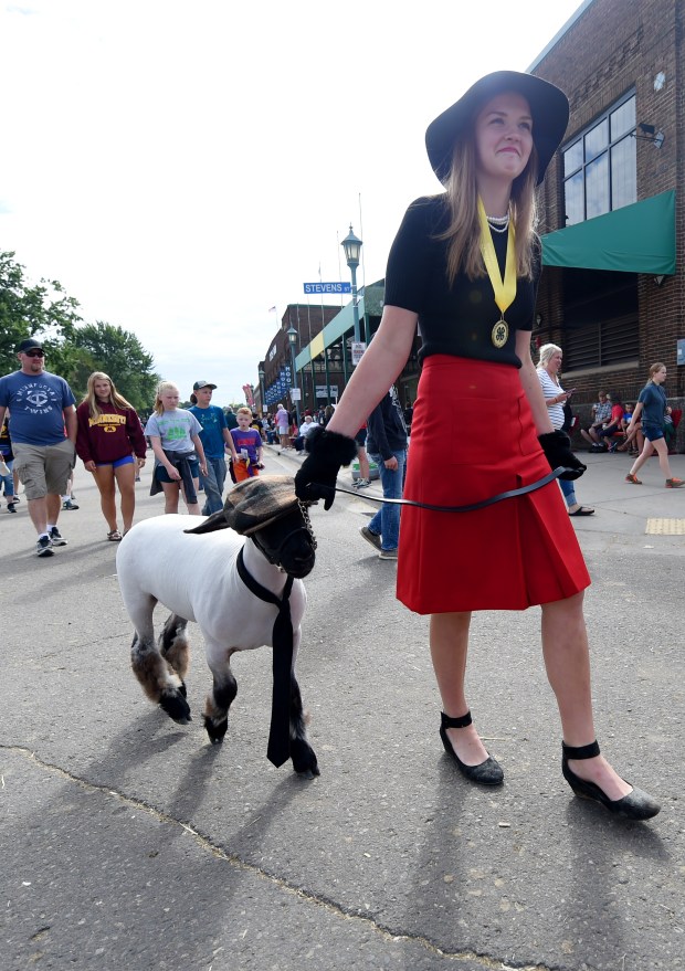 A girl walks a sheep with a necktie on it