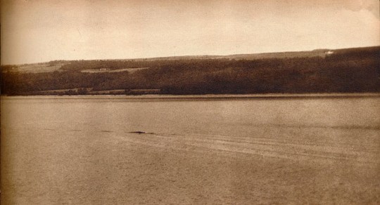 A picture purporting to show the Loch Ness Monster, taken by an unknown photographer