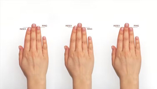 Finger length can indicate a number of characteristics