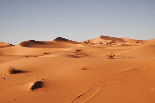 Sahara desert