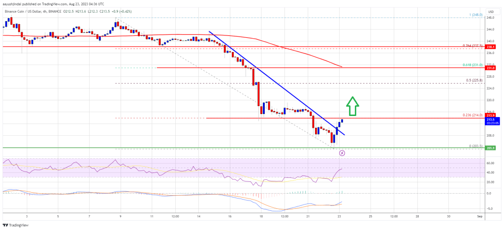 BNB Price Prediction