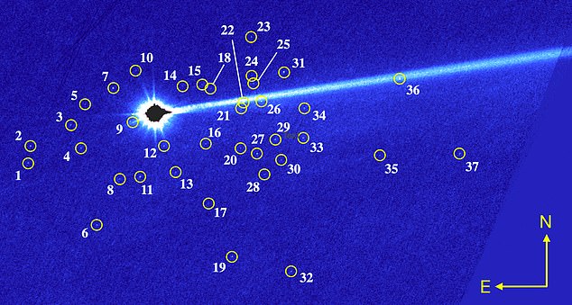 Scientists at the University of California, Los Angeles, identified 37 boulders up to 22 feet wide that scattered off the surface of the moonlet Dimorphos after a spacecraft smashed into it.