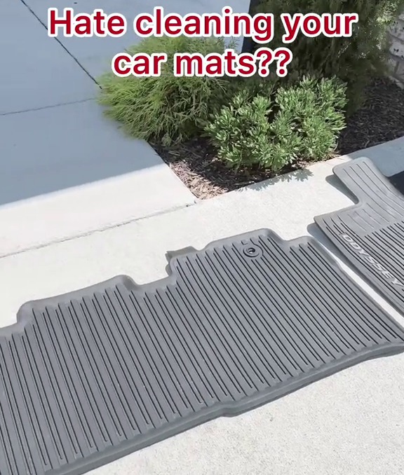 Elaina Zinke revealed how to clean your car mats using an everyday tool