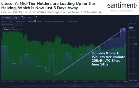 Litecoin sharks and Dolphins