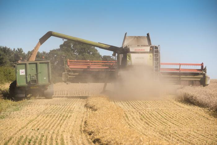 Harvesting wheat at Euston Estate farm in Suffolk