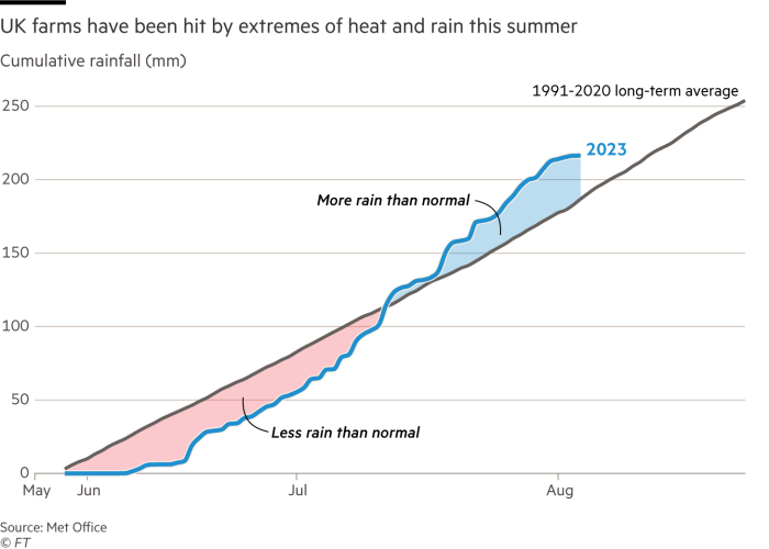 Chart showing the Cumulative rainfall (mm) of the UK between July and August. June was much drier than normal whereas July and August have been much wetter