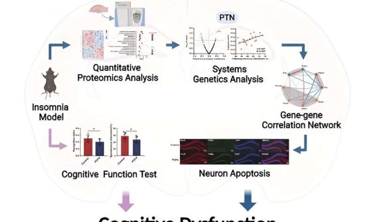 A graphical abstract for the research