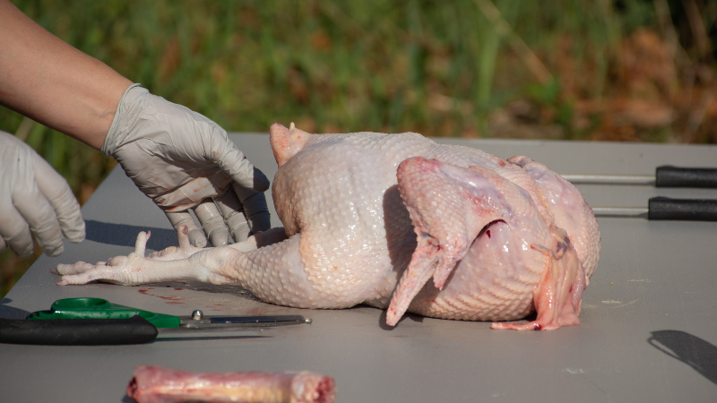 Chicken Processing Workshop