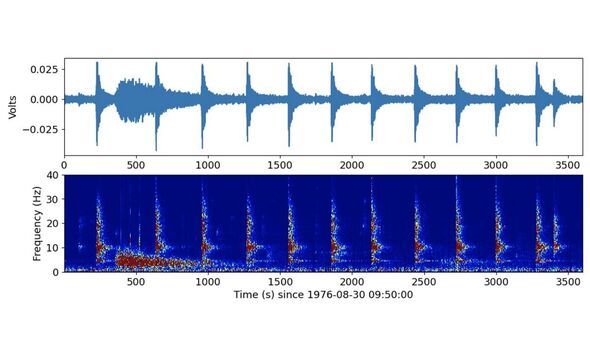 Seismic signatures of thermal moonquakes