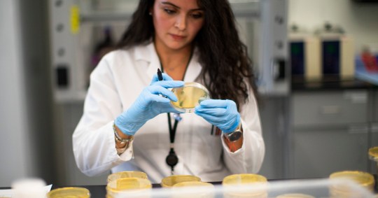 NUTLEY, NJ - FEBRUARY 28: A researcher works in a lab that is developing testing for the COVID-19 coronavirus at Hackensack Meridian Health Center for Discovery and Innovation on February 28, 2020 in Nutley, New Jersey. The facility develops novel therapies for some of the world???s most difficult diseases. At least 53 countries have reported cases of infection. (Photo by Kena Betancur/Getty Images)