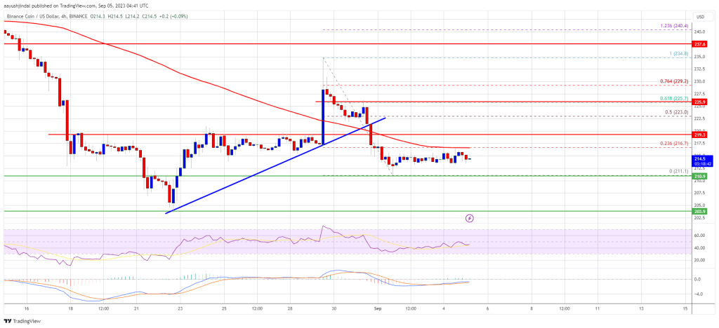 BNB Price